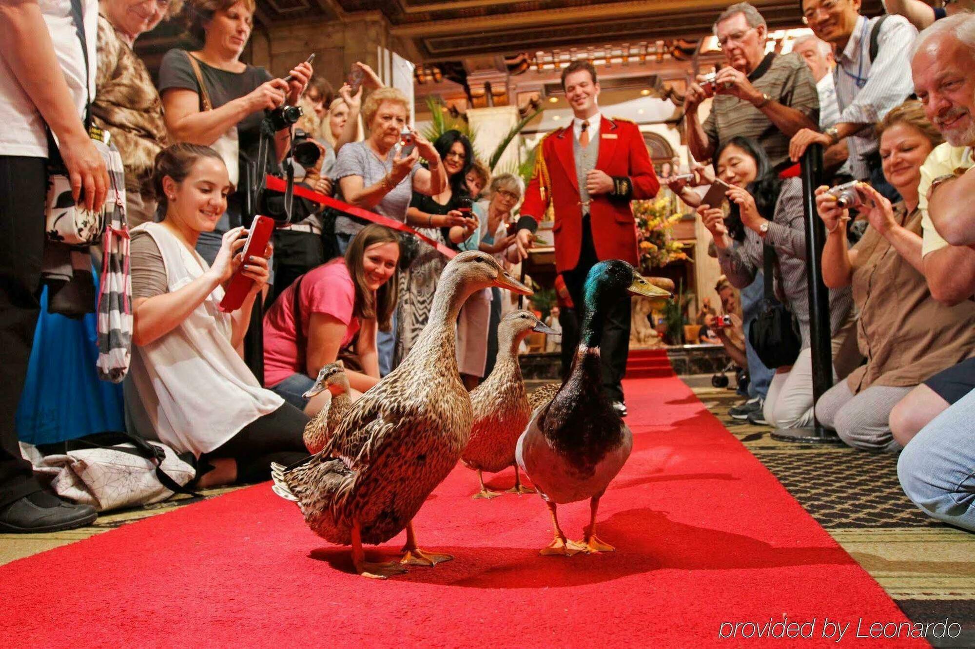 Peabody Hotel