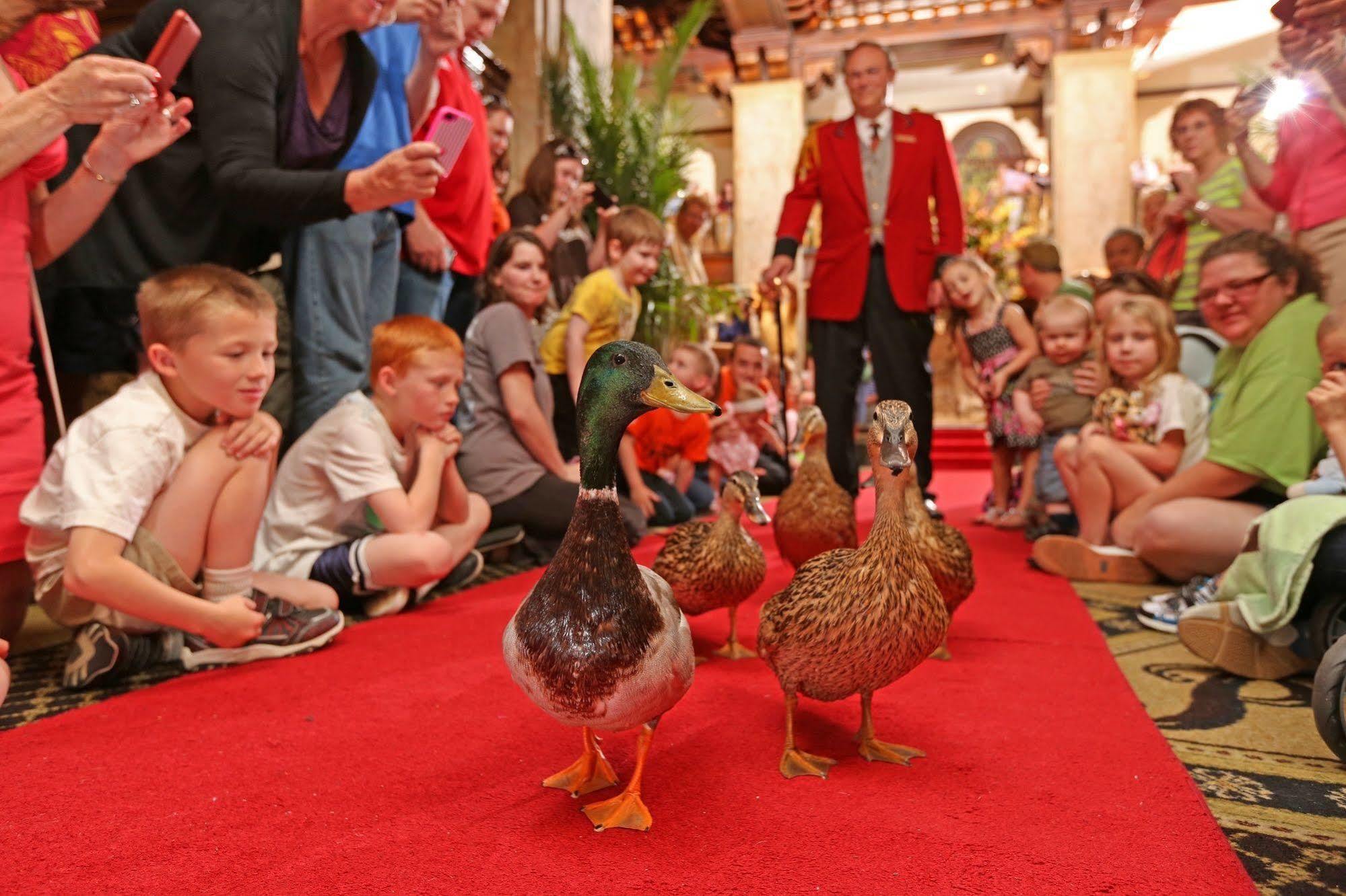 Peabody Hotel Memphis